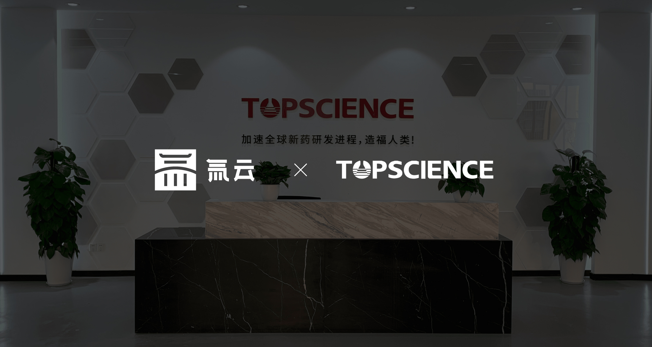 陶术生物:重塑核心业务体系,全力加速新药研发